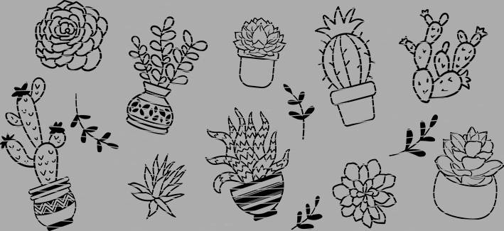 16oz Element-EN-1425